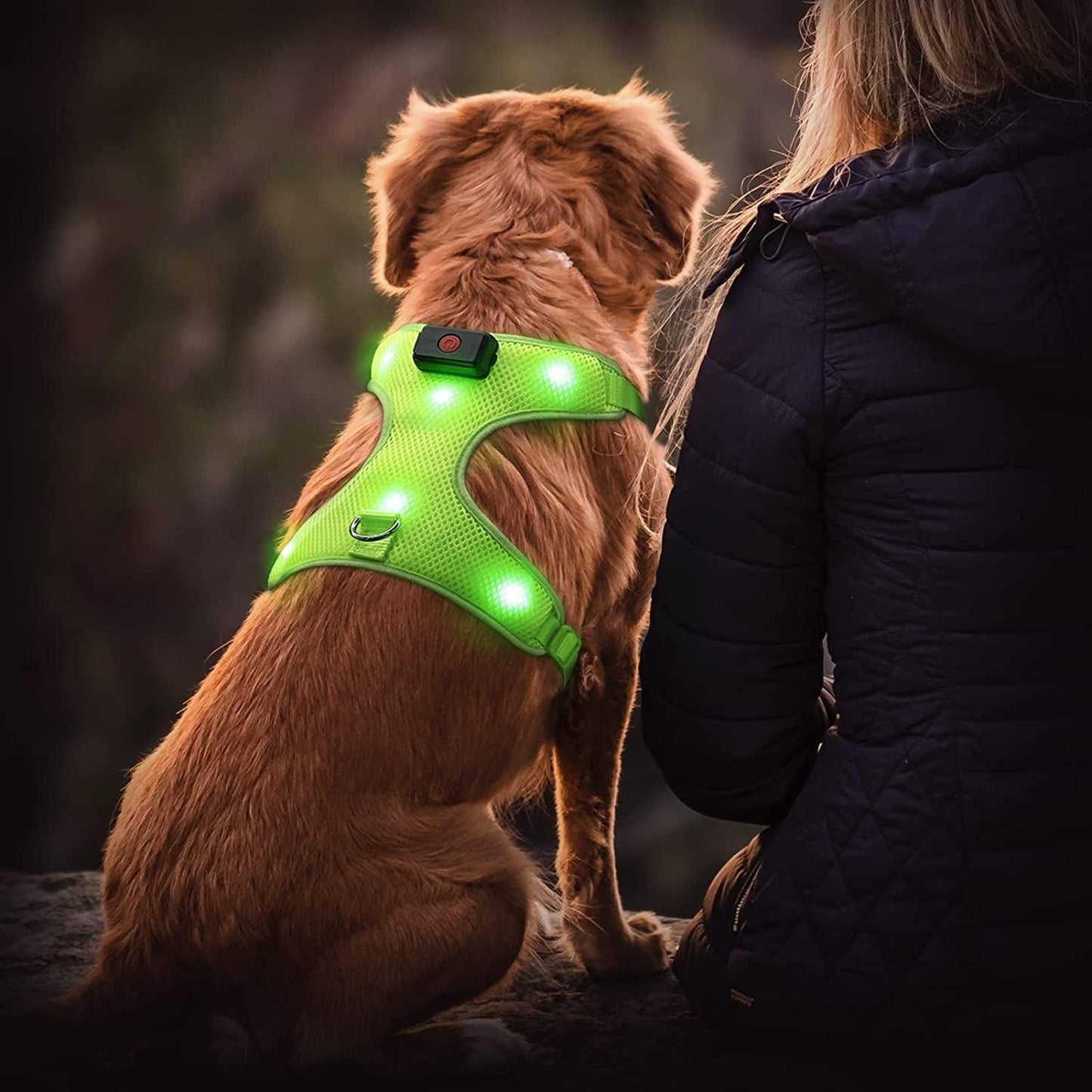 LED Dog Harness, Lighted up USB Rechargeable Pet Harness, Illuminated Reflective Glowing Medium Large Dogs