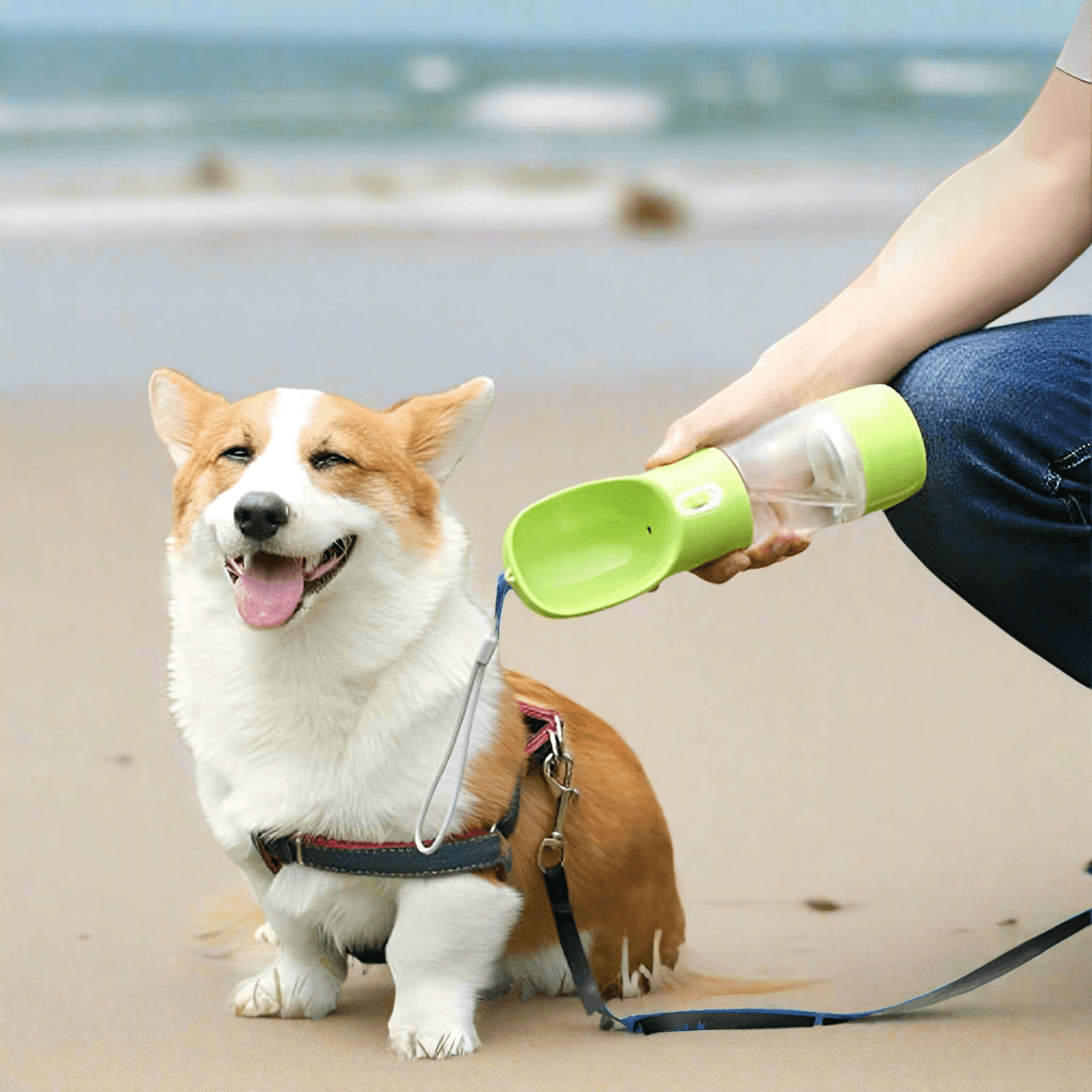 Portable Dog Water Bottle for Walking, Leak Proof Puppy Water Bottle with Food Container, Lightweight Pet Water Bottle for Hiking, Easy to Carry, BPA Free (Blue)