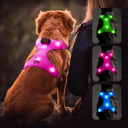 LED Dog Harness, Lighted up USB Rechargeable Pet Harness, Illuminated Reflective Glowing Medium Large Dogs