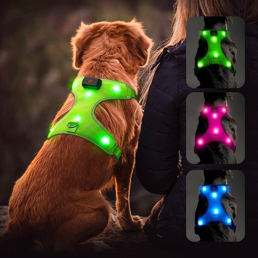 LED Dog Harness, Lighted up USB Rechargeable Pet Harness, Illuminated Reflective Glowing Medium Large Dogs