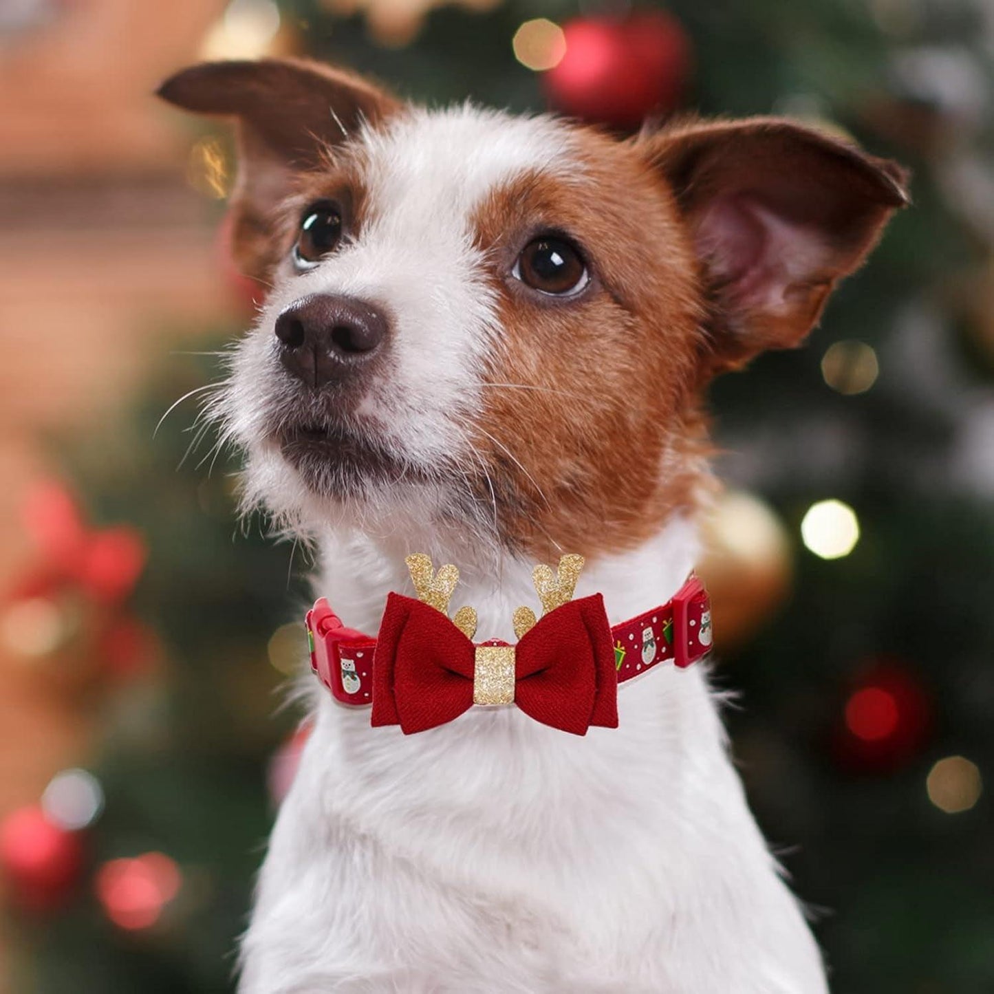 Adjustable Christmas Dog Collar with Antler Bow Tie & Snowman Accessories – Festive Holiday Dog Collar for Medium Dogs